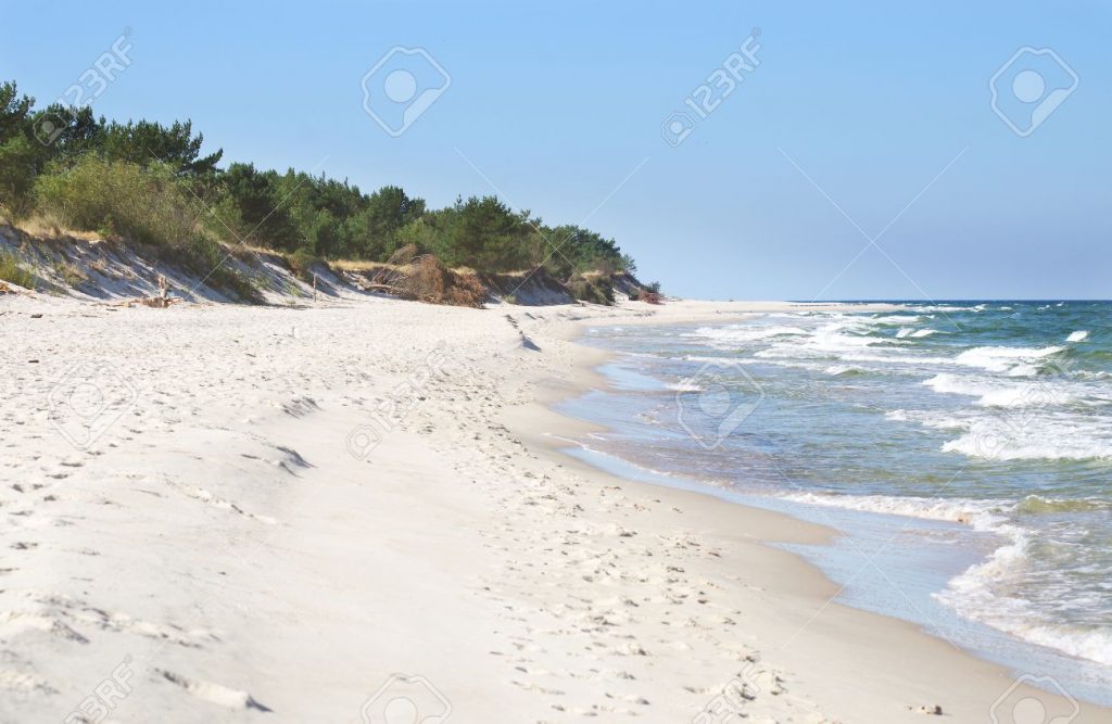 white sand beach with wild dunes, Hel, Poland