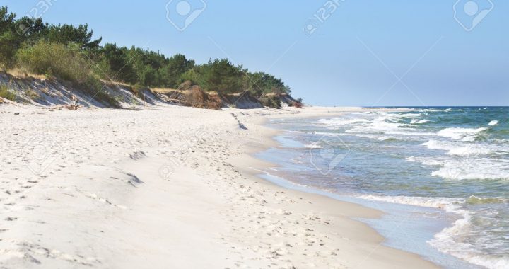 white sand beach with wild dunes, Hel, Poland